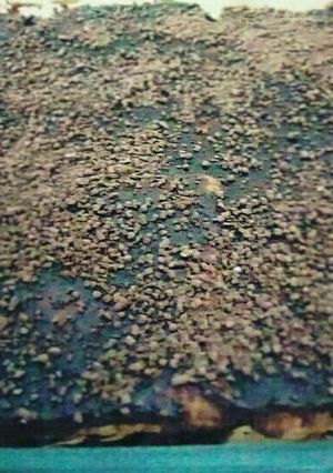 صورة لوصفة كيكه بارده😍😍