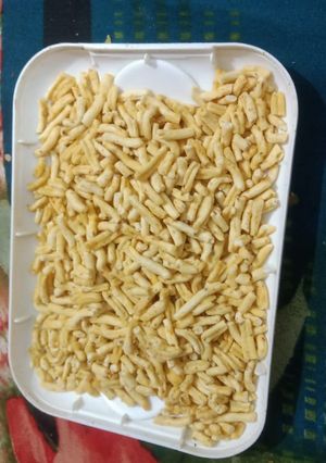 रतलामी सेव (Ratlami sev recipe in hindi) रेसिपी मुख्य फोटो