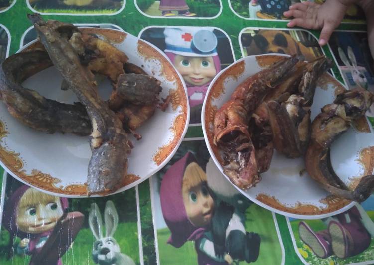 Cara Memasak Lele goreng istimewa