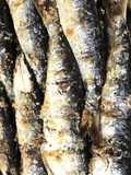 Sardinhas assadas