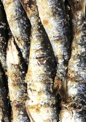 Foto de Sardinhas assadas