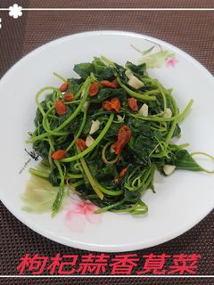枸杞蒜香莧菜(簡單料理) 的食譜成品照片
