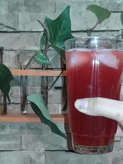 عکسی از دستور شربت رژیمی زرشک 🍷