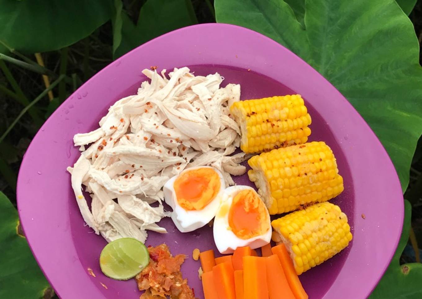 Ayam suwir sayur rebus untuk diet