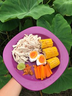 Foto resep Ayam suwir sayur rebus untuk diet