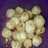 Cimol goreng