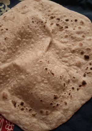 A picture of Roti.