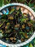 নিম বেগুন ভাজি(neem begun bhaji recipe in Bengali)