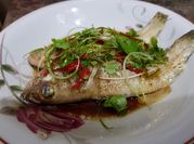 Gambar steam ikan kerapu