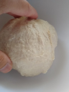 【手做麵包】中種麵糰 的食譜成品照片