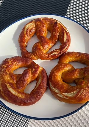 A picture of Pretzel 🥨.