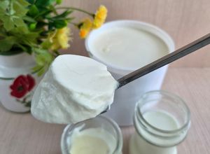Foto resep Plain Yogurt Homemade