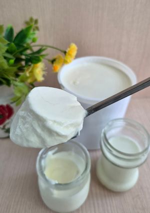 Foto resep Plain Yogurt Homemade