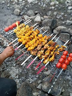 عکسی از دستور جوجه کباب زغالی در طبیعت😋🌱