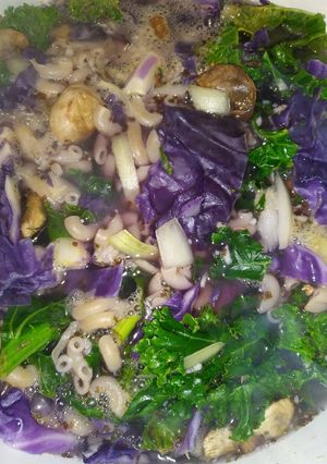 A picture of Cabbage and noodle soup.