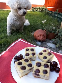 Ricottás-meggyes süti 🍒 recept fotója