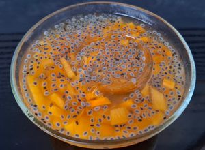 Foto resep Es Buah Kesemek