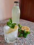 Citronnade citron basilic 🍋🌱