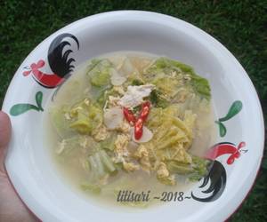 Cara Cepat Sawi Putih Orak Arik Enak Sederhana Cara Cepat Sawi Putih Orak Arik Enak Sederhana
