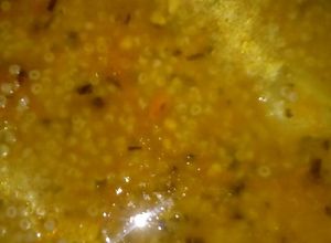 Una foto de Sopa y puchero 👇