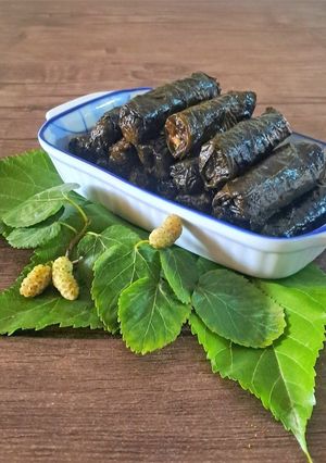عکسی از دستور دلمه برگ توت