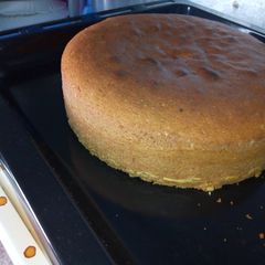 Spongy chocolate cake A picture of Spongy chocolate cake.