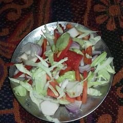A picture of Veg Salad.