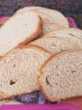 Pan lactal