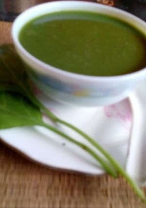 A picture of Spinach soup.