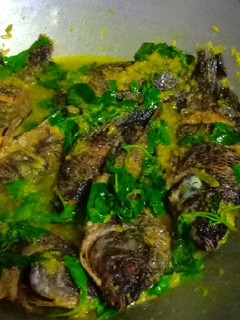 Foto resep PesmoL Ikan Mujair 🐟