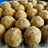 Churma Laddu