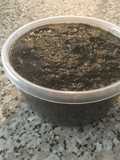 Tapenade a mi estilo
