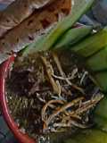 Haryali or Chutney kaleji