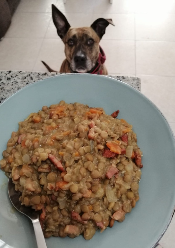 Una foto de Lentejas estofadas con bacon | sin histamina