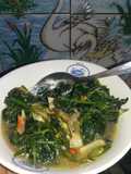 Tumis Daun Lumai