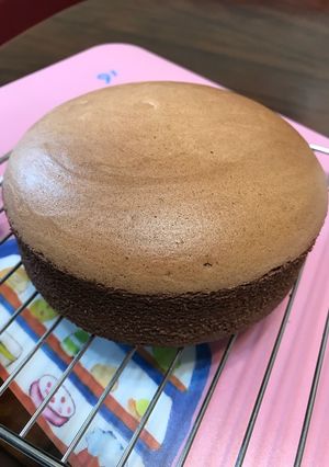 巧克力棉花蛋糕 的食譜成品照片
