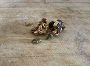 A picture of groundnut seeds