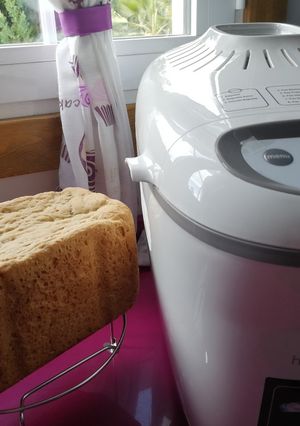 Foto principal de Pan de miel nueces y semillas en panificadora Moulinex