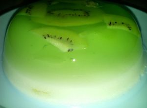 Foto resep Puding Susu Melon Topping Kiwi Seger