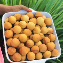 A picture of Cake pops.