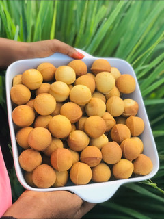A picture of Cake pops.