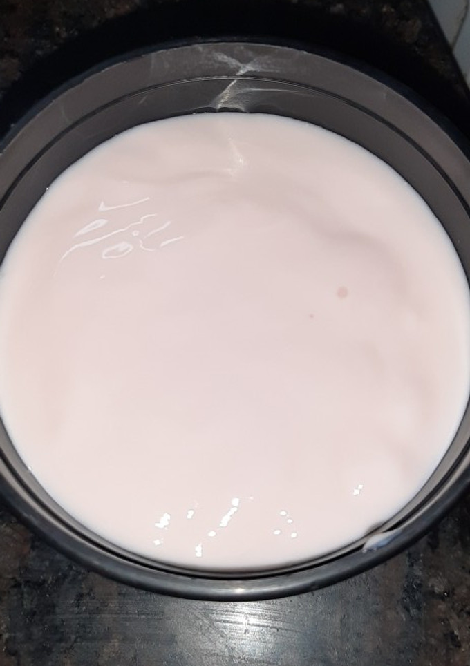 Una foto de Yogurt casero