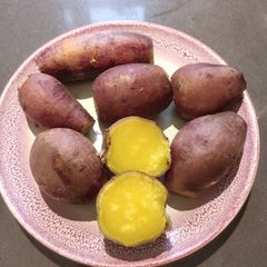 Yellow Sweet Potato A picture of Yellow Sweet Potato.