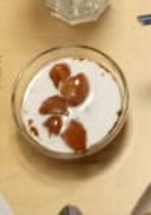 Foto resep Biji salak