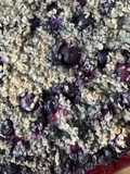 Crumble de Pera e Mirtilos