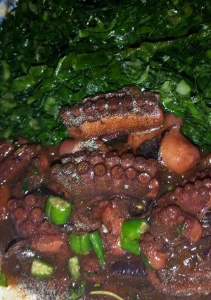 A picture of Pweza stew.