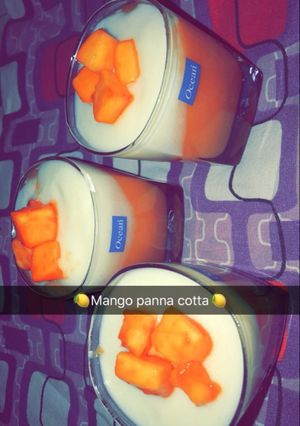 A picture of Mango panacota.
