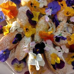 A picture of Beautiful flower madeleine.