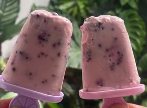 Foto resep Es krim Yoghurt Mulberry
