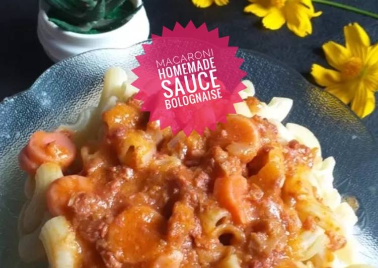 Macaroni Homemade Sauce Bolognaise